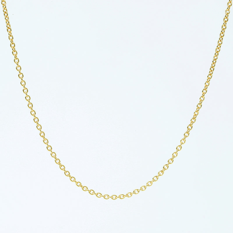 Delicate Gold Chain Necklace